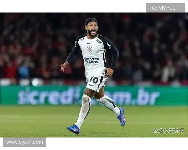 德佩因护照失踪怀疑被盗紧急申请新护照应对困境